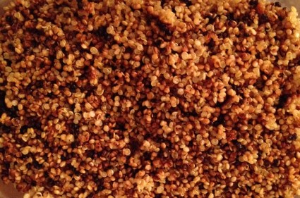 quinoa